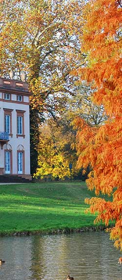 Park Schönbusch in Herbstfarben