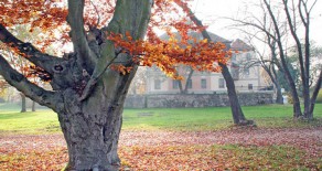 Schlosspark Machern im Herbstkleid