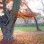 Schlosspark Machern im Herbstkleid
