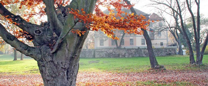 Schlosspark Machern im Herbstkleid