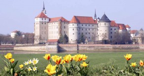 Frühling auf Schloss Hartenfels