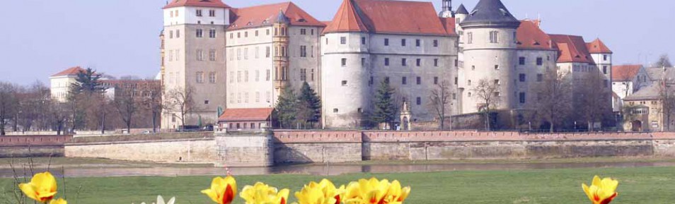 Frühling auf Schloss Hartenfels