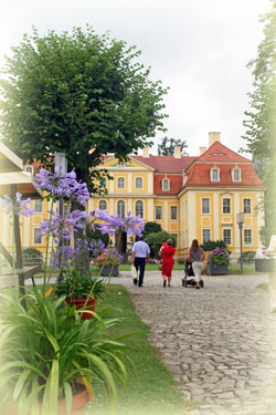 Blütenzauber