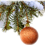 Frohes Fest