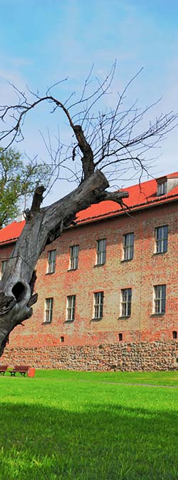 Burg Storkow in Brandenburg