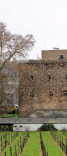 Brömserburg