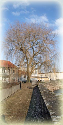 Burg Friedewald in Hessen