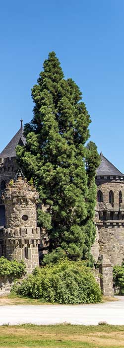 Löwenburg in Kassel