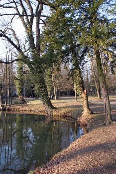 Schloss Buseck in Hessen