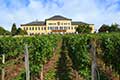 Schloss Johannisberg