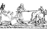 Bauern im Mittelalter