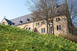 Kaiserpfalz Goslar im Frühling