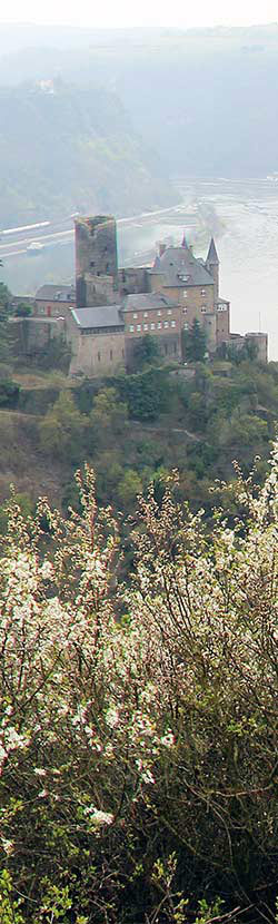 Burg Katz am Rhein