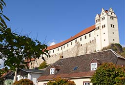 Burg Wettin