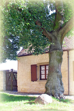 Schloss Neuenburg in Freyburg