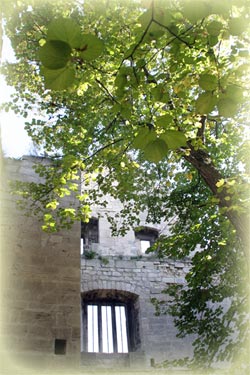 Innenhof der Burg