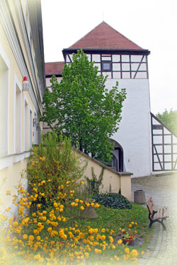 Blumen im Innenhof