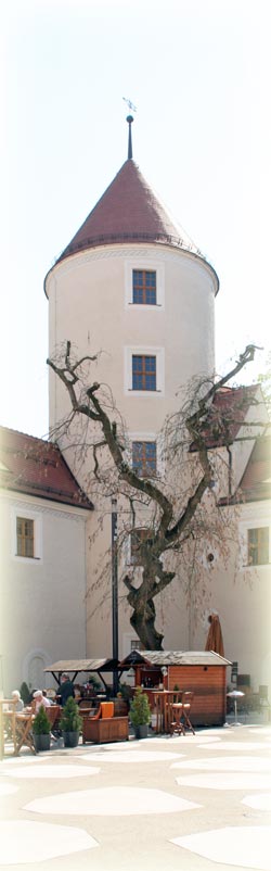Der Innenhof von Schloss Freudenstein
