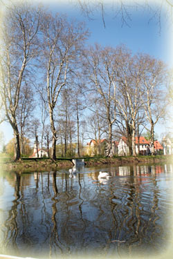 Der Teich im Park