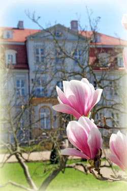 Frühling auf Schloss Güldengossa in Sachsen