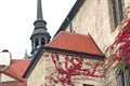 Schloss Hartenfels in Torgau