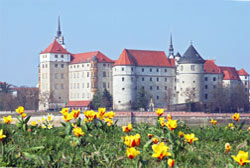 Frühling in Torgau