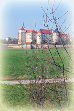 Schloss in Torgau