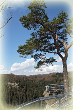 Burg Hohnstein in Sachsen