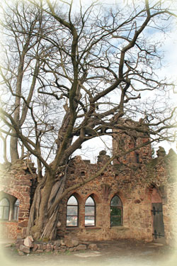 Burg Mildenstein in Sachsen