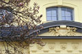 Frühling im Schlosspark Altenburg