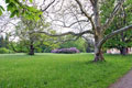 Schlosspark Belvedere Weimar