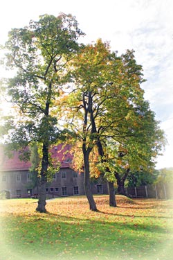 Herbstflair auf der Ruine