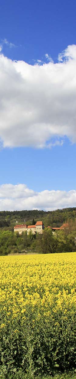 Creuzburg im Frühling