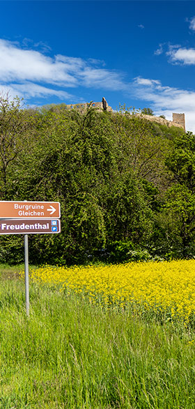 Burg Gleichen mit gelbem Raps