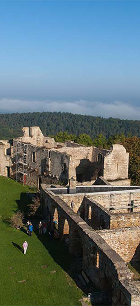 Burg Gleichen von oben