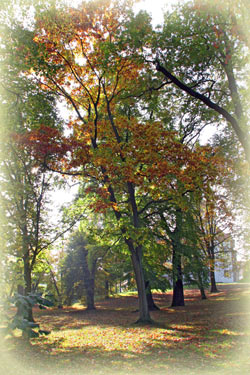 Herbstflair im Schlosspark