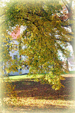 Im Schlosspark von Eisenberg