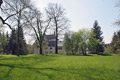Im Park