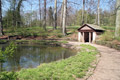 Frühling im Park