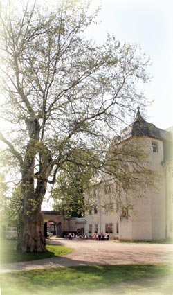 Schloss Kromsdorf