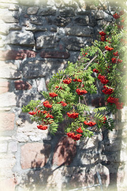 Impressionen auf der Leuchtenburg