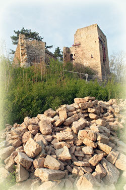 Lobdeburg im Frühling