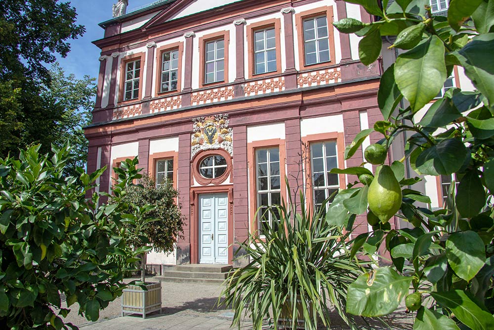 Schwarzburger Schloss mit Zitronenbaum