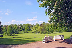 Der Schlosspark Tiefurt in Weimar